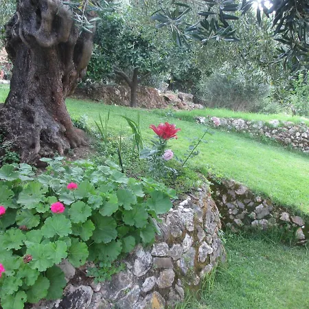 Belvedere